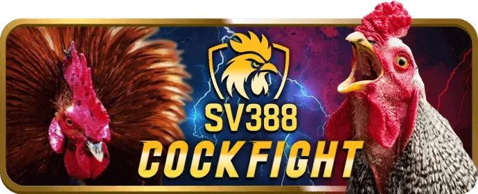 Hình ảnh trải nghiệm người dùng mượt mà trên di động tại x111 game